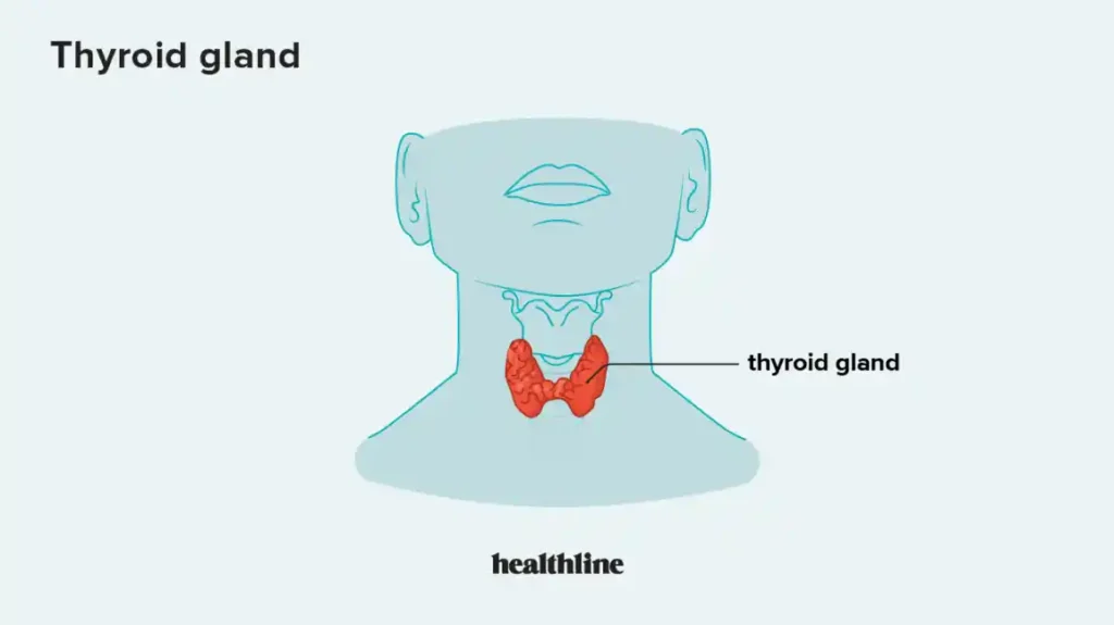 2024129 Hypothyroidism 1296x728 body 11zon