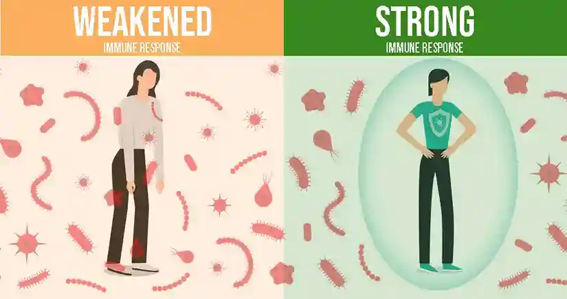 weak vs strong immune system 2 11zon