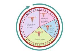 fertility treatment in Dharwad 